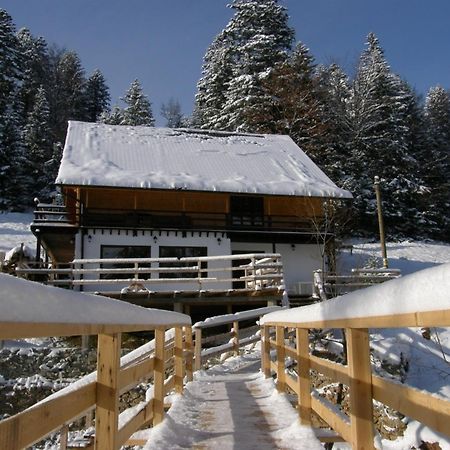Cabana Cota 1000 Arieşeni Extérieur photo
