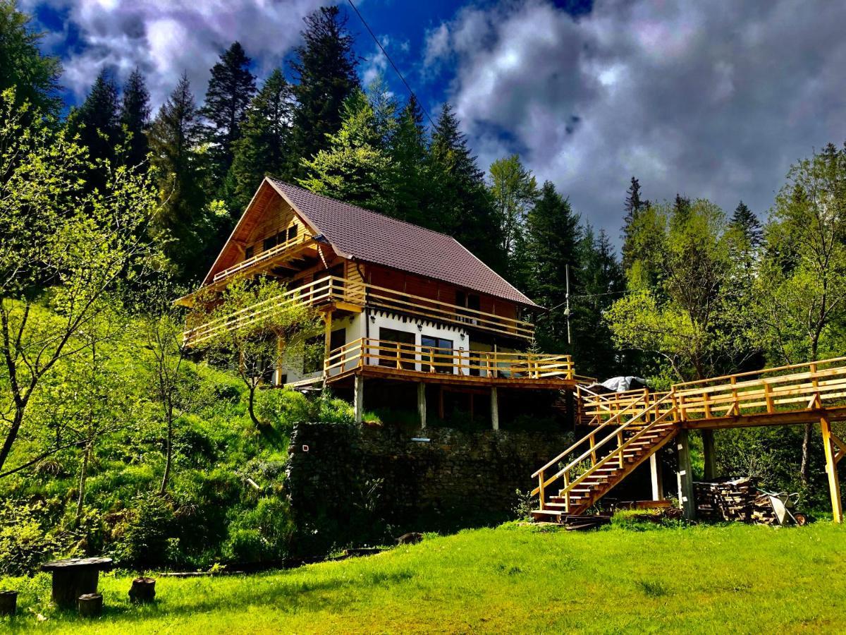 Cabana Cota 1000 Arieşeni Extérieur photo