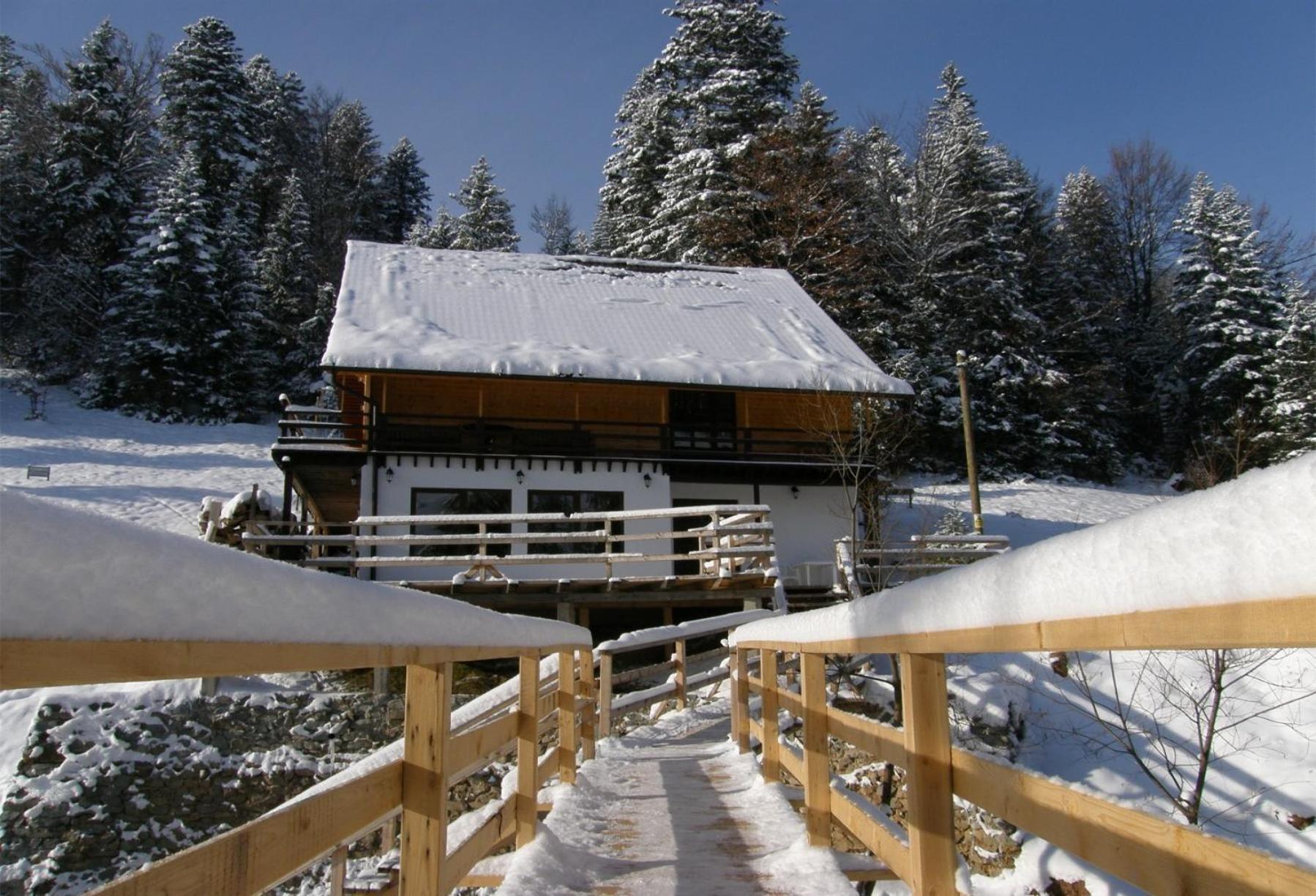 Cabana Cota 1000 Arieşeni Extérieur photo